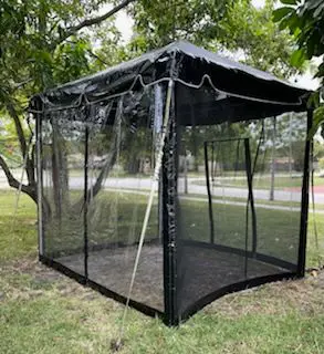 Transparent tent under leafy trees