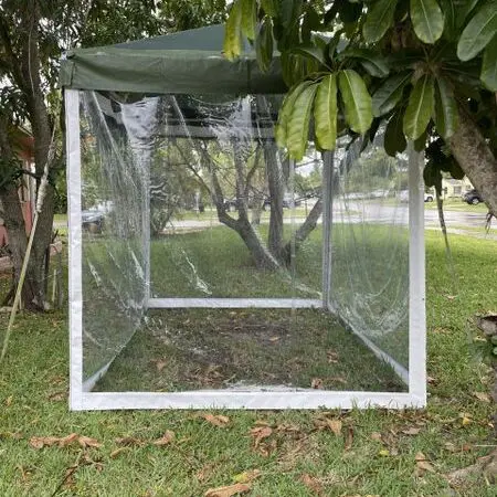 Transparent outdoor tent under tree canopy