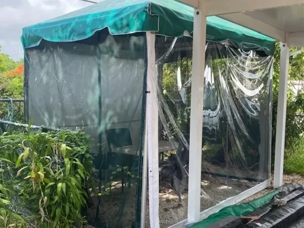 Garden shelter with greenery and netting