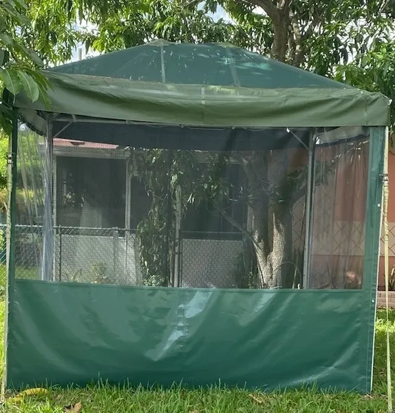 Backyard gazebo with mesh sides