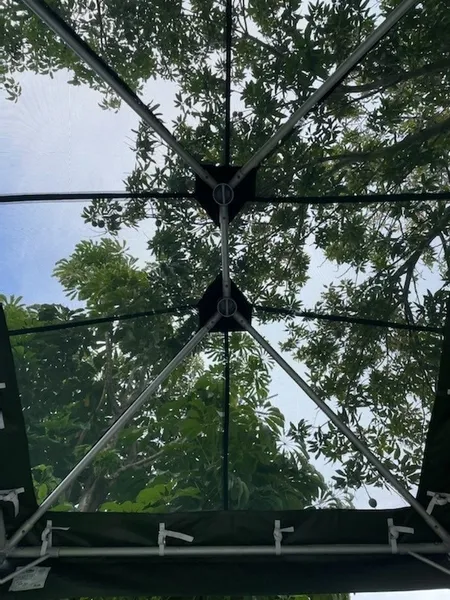 Canopy frame under tree canopy