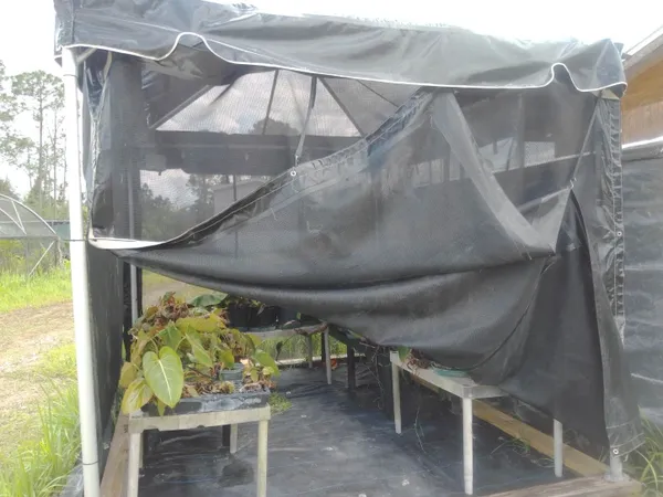 Greenhouse with black shade cloth covering