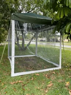 Transparent tent under trees