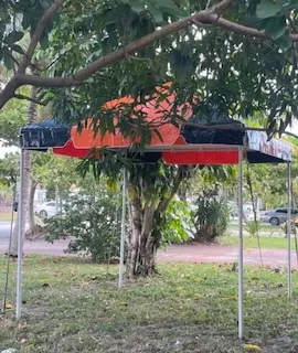 Outdoor canopy in park setting