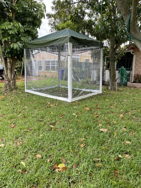 Clear-walled gazebo under trees