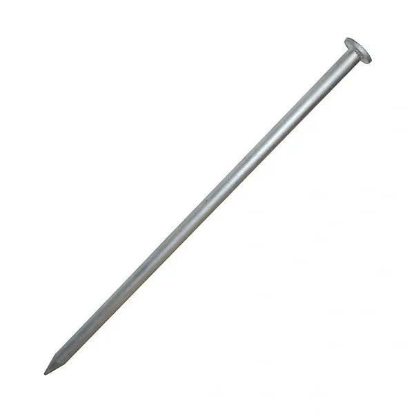 Single metal nail isolated