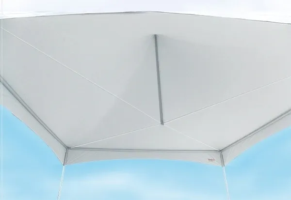 Gazebo roof viewed from below