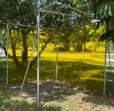 Metal frame with yellow transparent panels