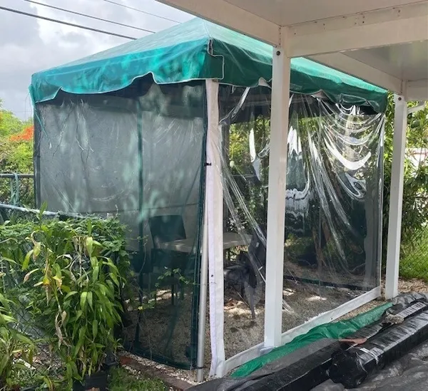 Enclosed garden space with transparent plastic sides.
