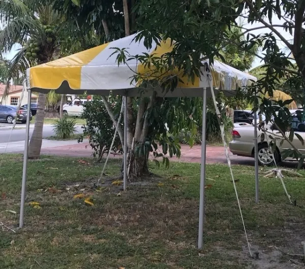 Yellow and white canopy in backyard