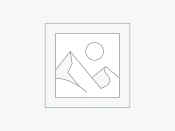 Minimalist mountain scene illustration